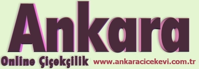 Ankara iekiler